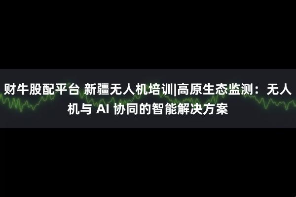 财牛股配平台 新疆无人机培训|高原生态监测：无人机与 AI 协同的智能解决方案