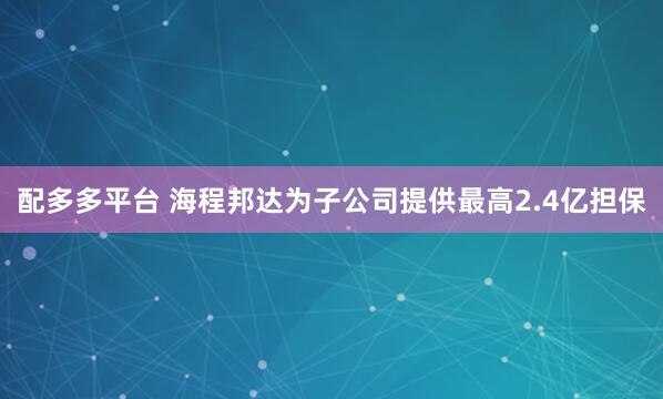 配多多平台 海程邦达为子公司提供最高2.4亿担保