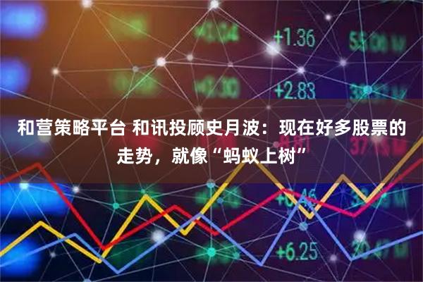 和营策略平台 和讯投顾史月波：现在好多股票的走势，就像“蚂蚁上树”