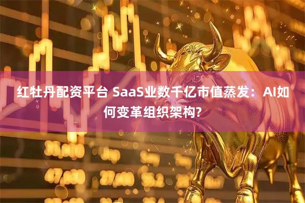红牡丹配资平台 SaaS业数千亿市值蒸发：AI如何变革组织架构?
