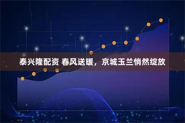 泰兴隆配资 春风送暖，京城玉兰悄然绽放